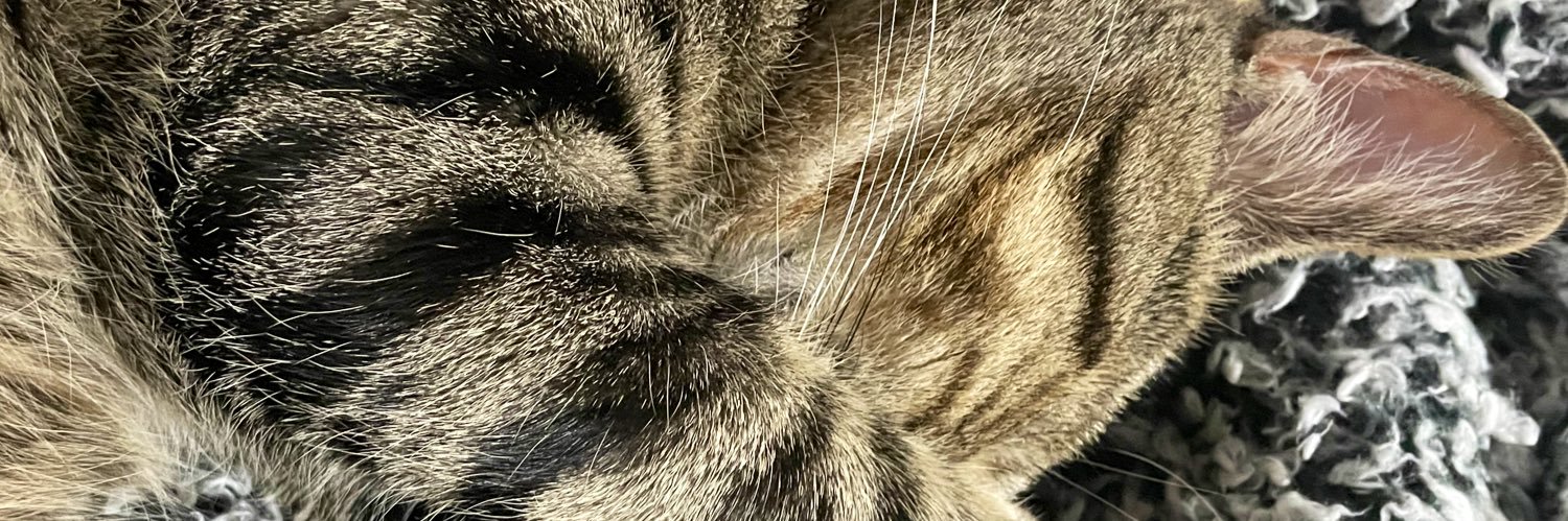 _kmcb23's profile banner image