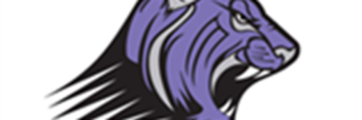SWeldonTeacher's profile banner image
