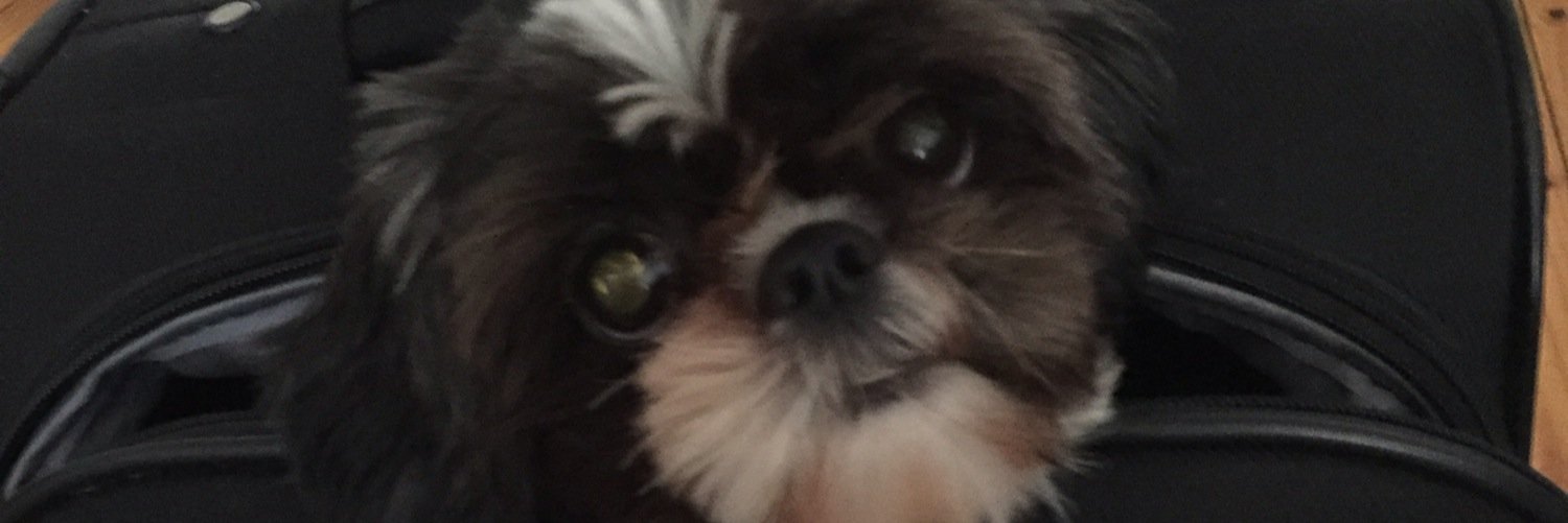 yeeking's profile banner image