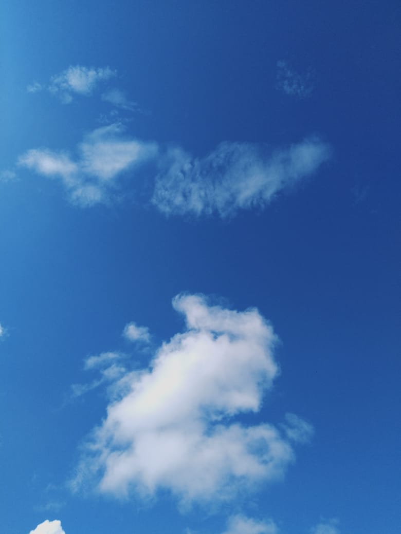 dn_sfch's profile banner image