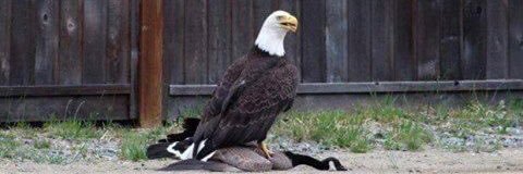 DeMay42's profile banner image
