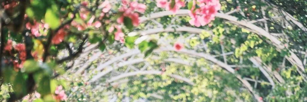 baikaron's profile banner image