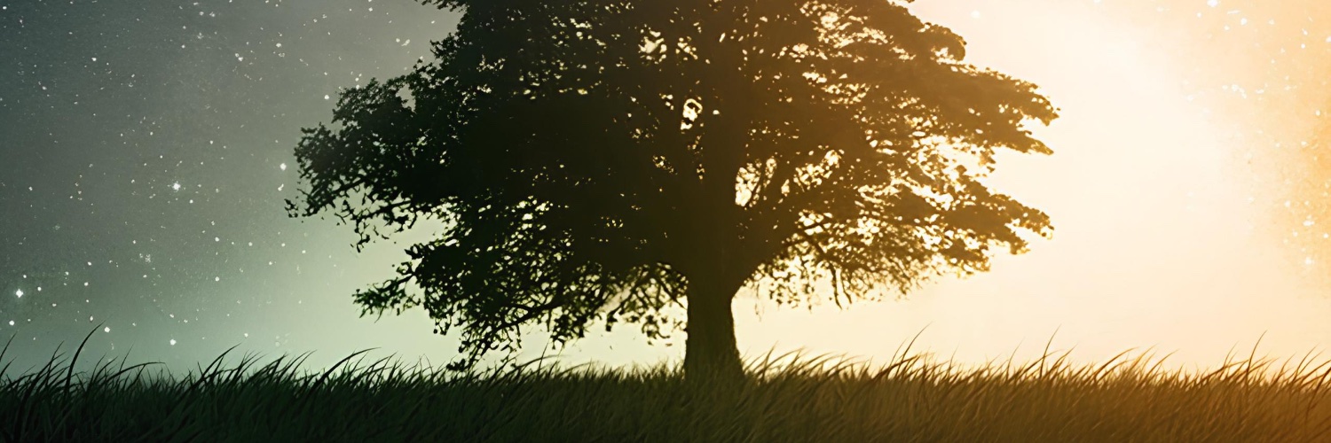 yamat54's profile banner image