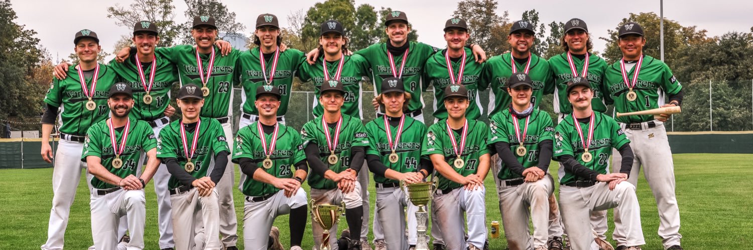 Vienna Wanderers banner