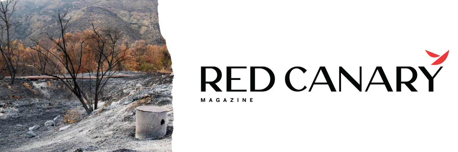 _redcanaryco's profile banner image