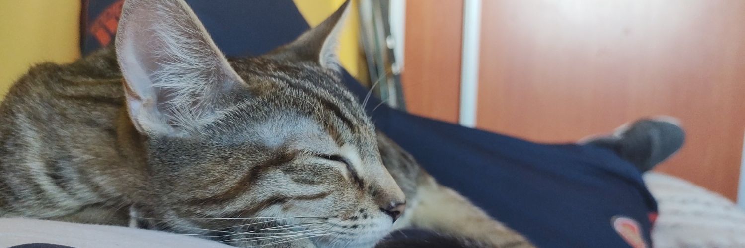 EmilioRosaSSR's profile banner image