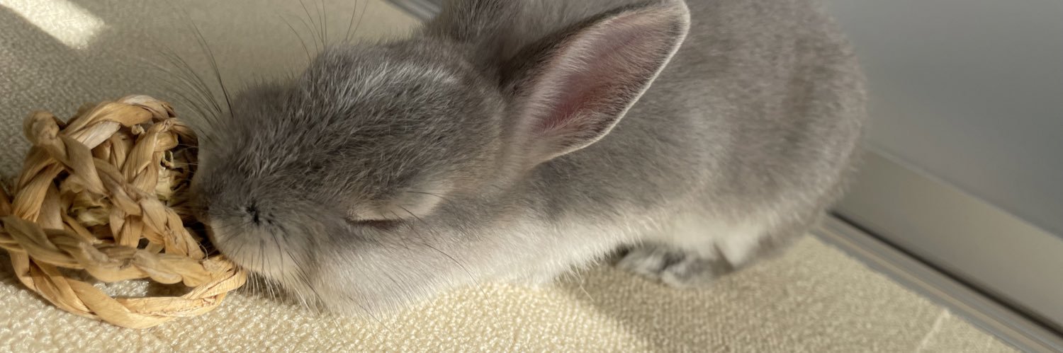 Supra_rabbit's profile banner image
