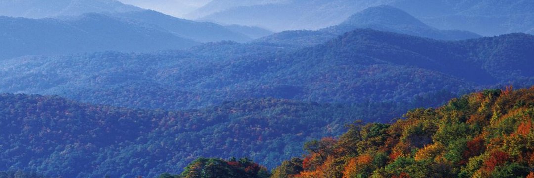 Chelle Belle 💜 BTS & ARMY banner