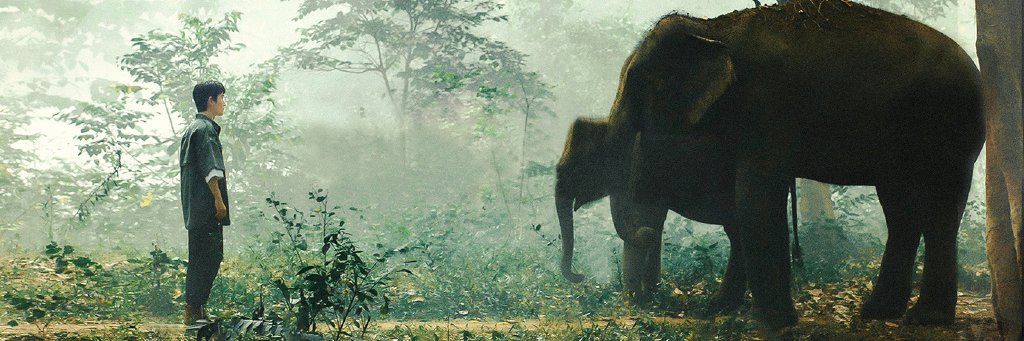 vlrmAfyd's profile banner image