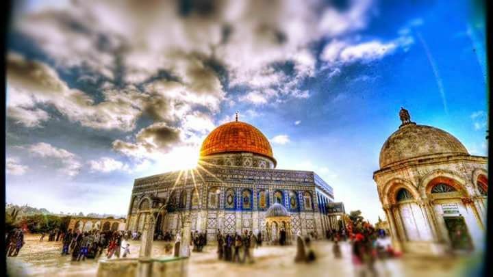 Doaa_Khalil8's profile banner image