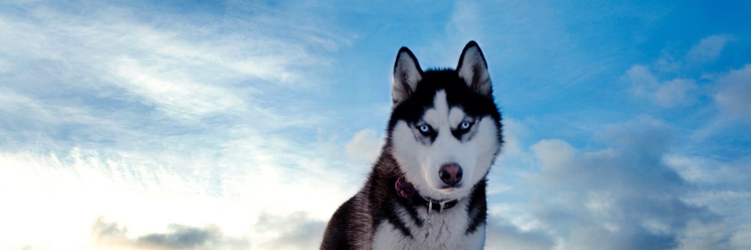 OKMhusky's profile banner image