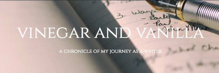 vinegar_vanilla's profile banner image