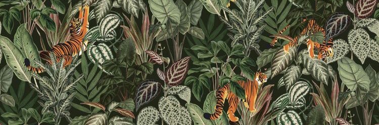 ManalAlissa's profile banner image