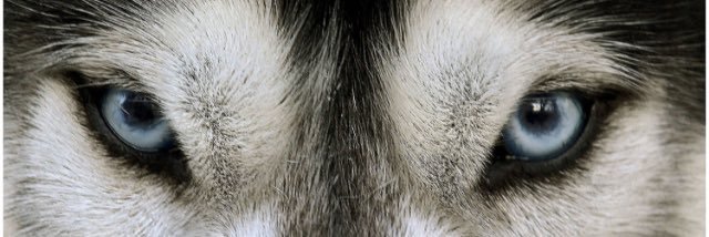 Beau Brooks banner