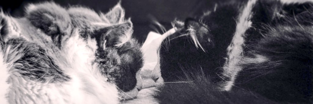 SassyMissEm's profile banner image