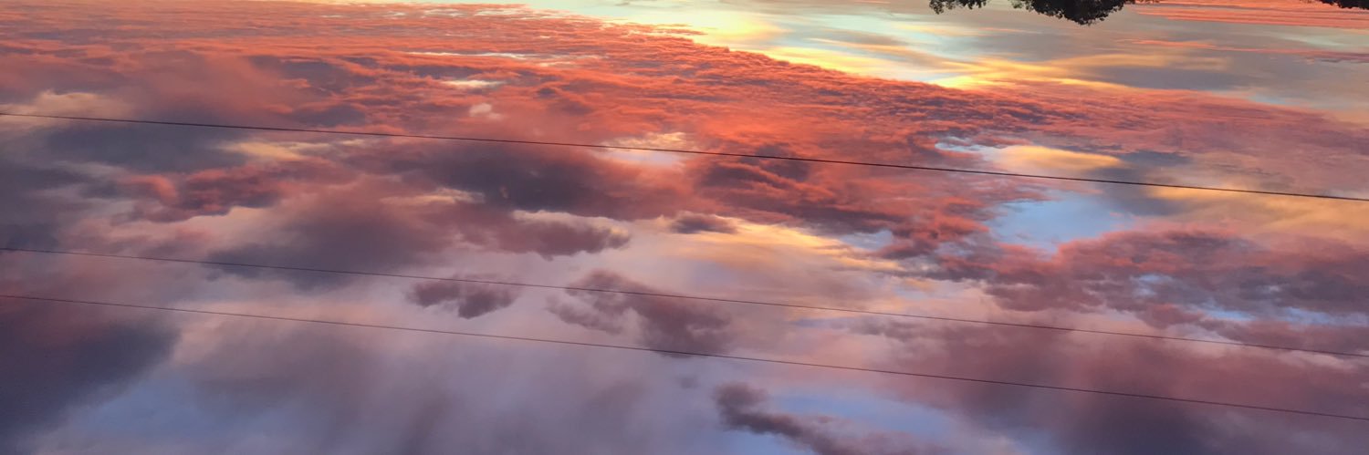 haleygjackson's profile banner image