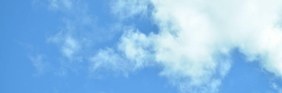 maddyscs's profile banner image