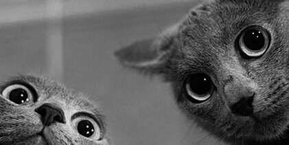 garturete's profile banner image