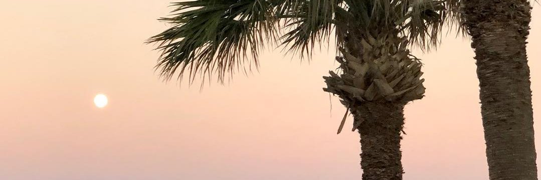 sonyahilltv's profile banner image