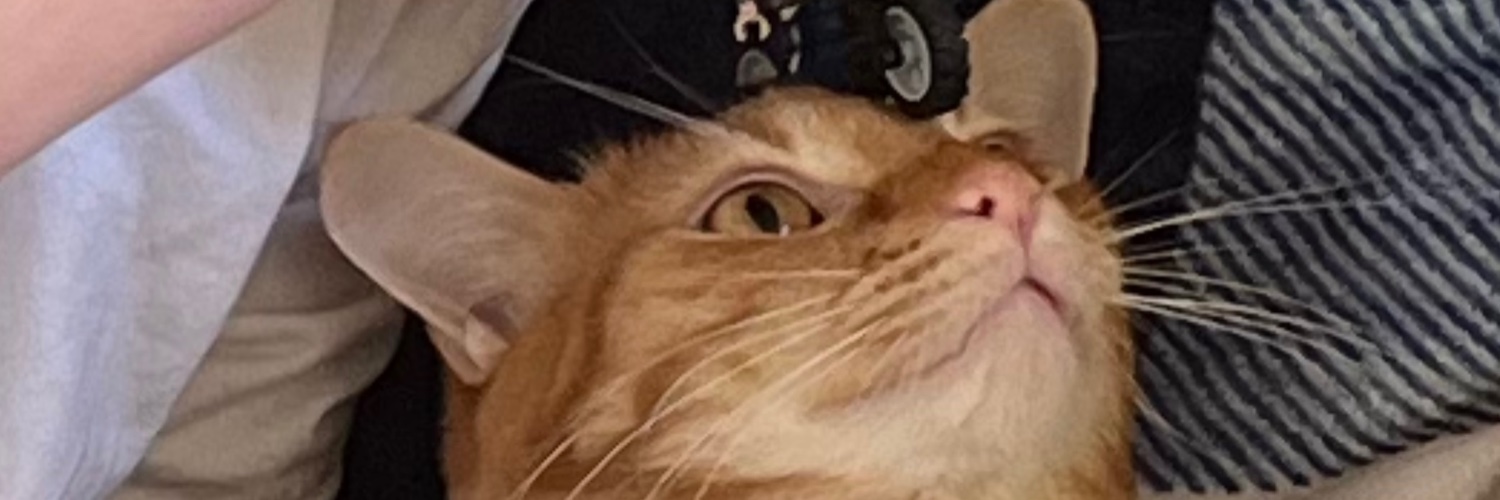FatCat_PartyHat's profile banner image