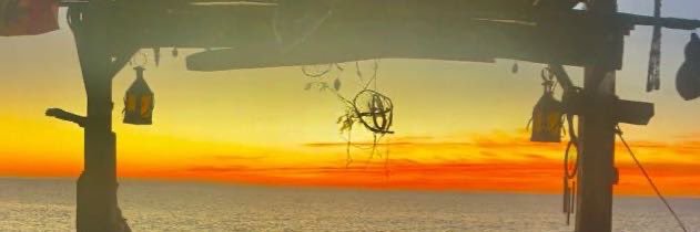 Alfonsollosa's profile banner image