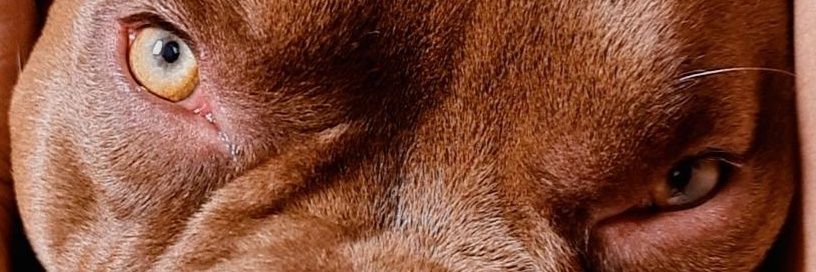HilarydeO's profile banner image