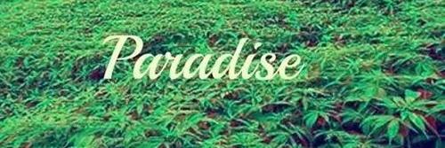 dopest_ever's profile banner image