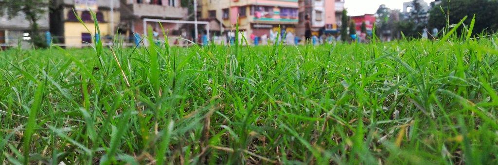 pore_suman's profile banner image