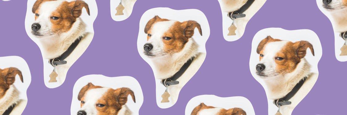 nataliemsalim's profile banner image