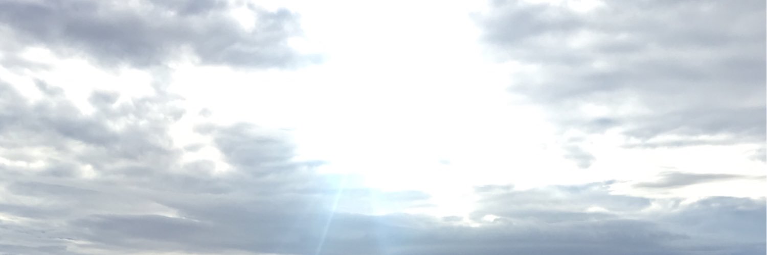 tylervancee's profile banner image