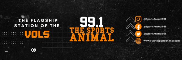 99.1 THE Sports Animal Profile Banner