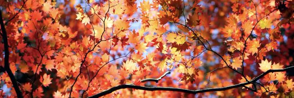 aykanian Profile Banner