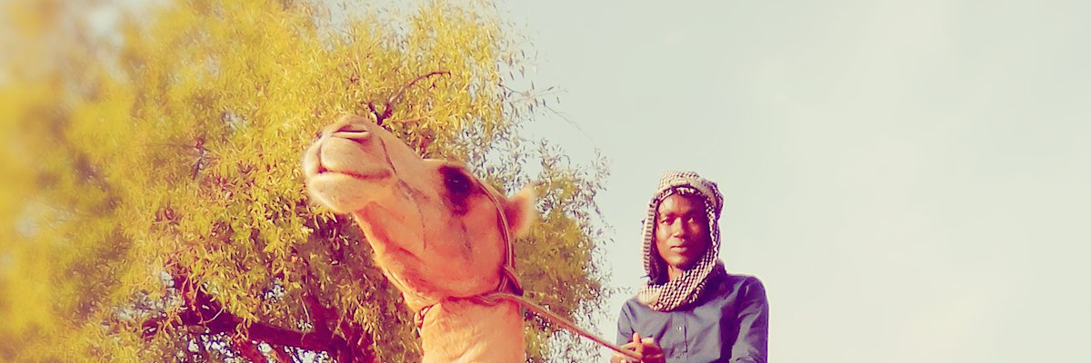 AnnourPrince's profile banner image
