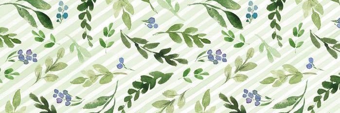 jabowskyy's profile banner image
