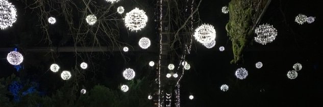 Rya Berkelaar banner