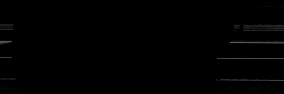 tturan73's profile banner image