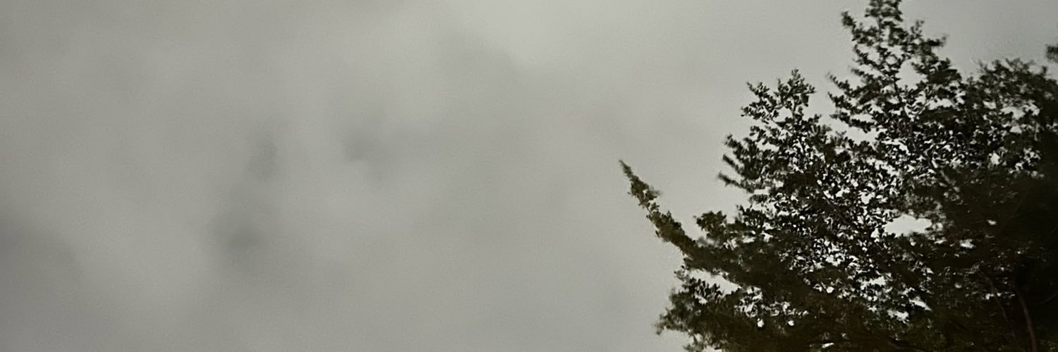 OgAdeyemo's profile banner image