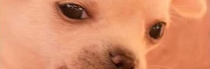 Becabucio's profile banner image