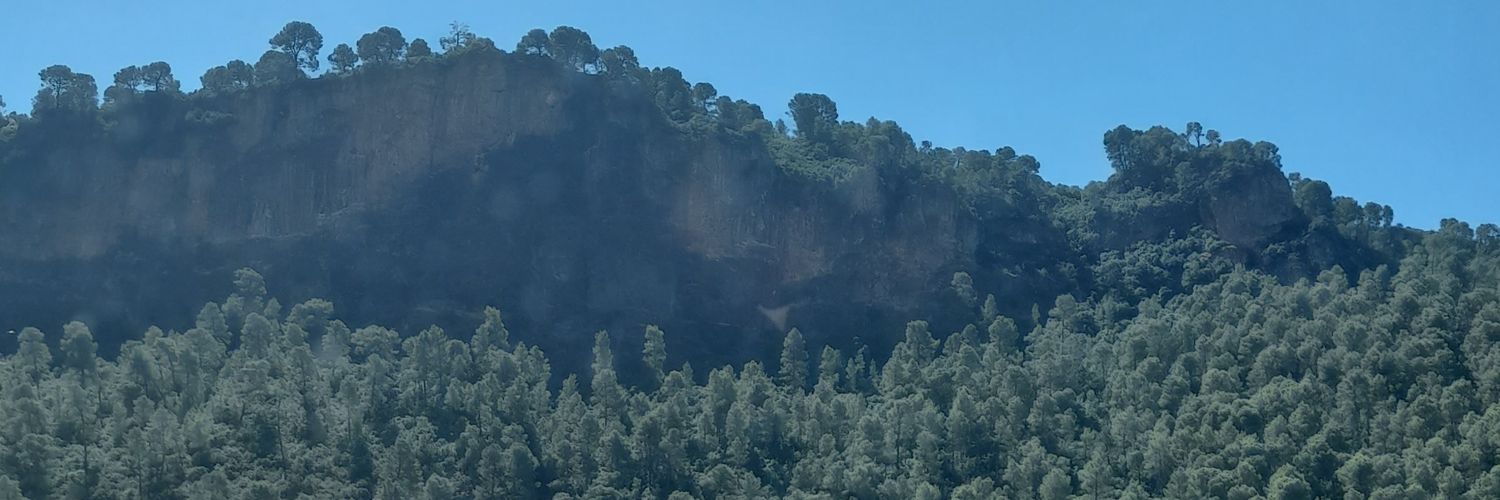 Dyburyte's profile banner image