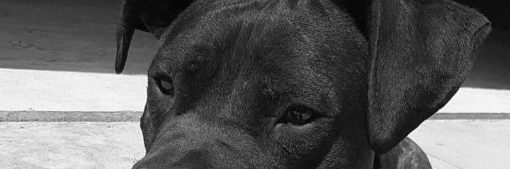 Gera289's profile banner image