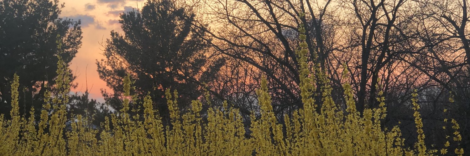 haley_carroll's profile banner image
