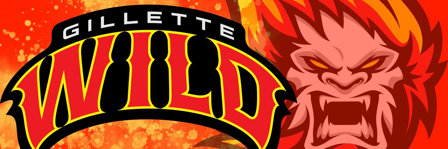 x Gillette Wild banner