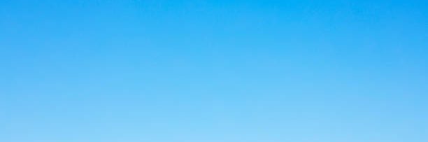 todomauro's profile banner image