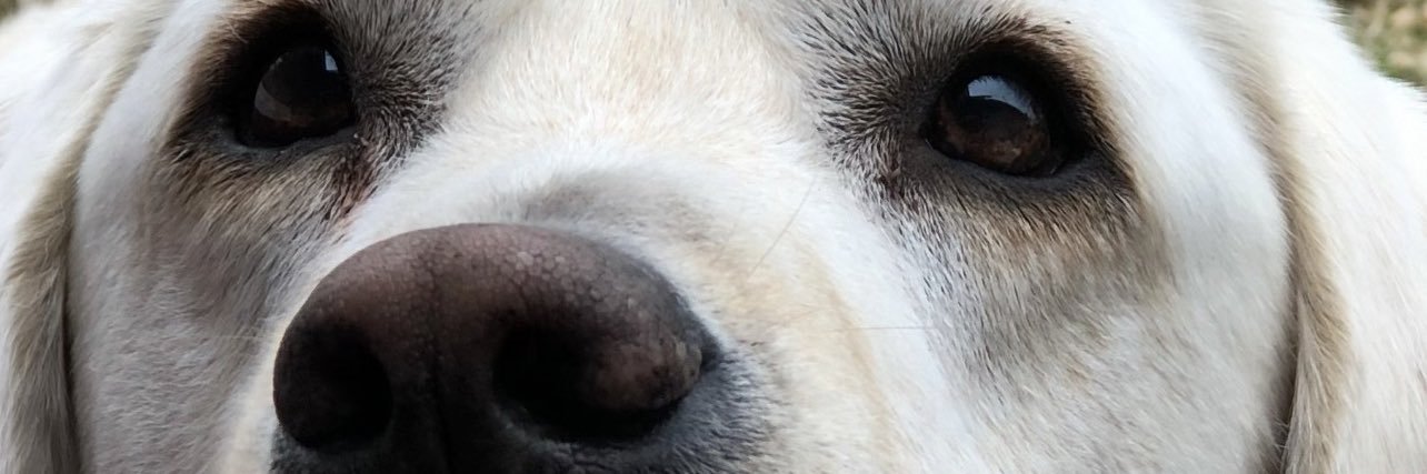 ferrerphillip's profile banner image