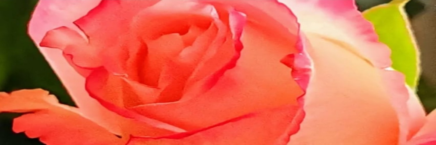 Fleur Been banner