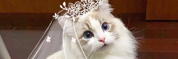 MuhendisEsnaf's profile banner image