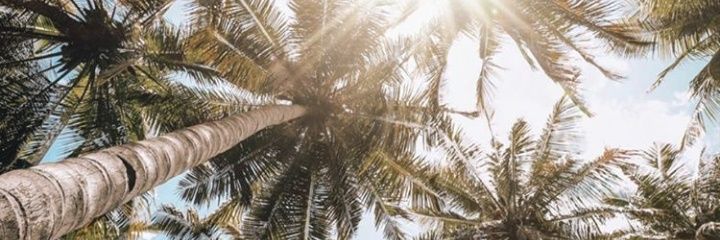 MacaAlvarezs's profile banner image