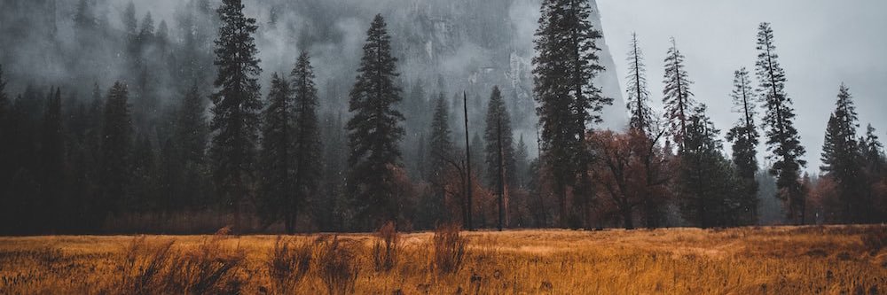 pdepps72's profile banner image