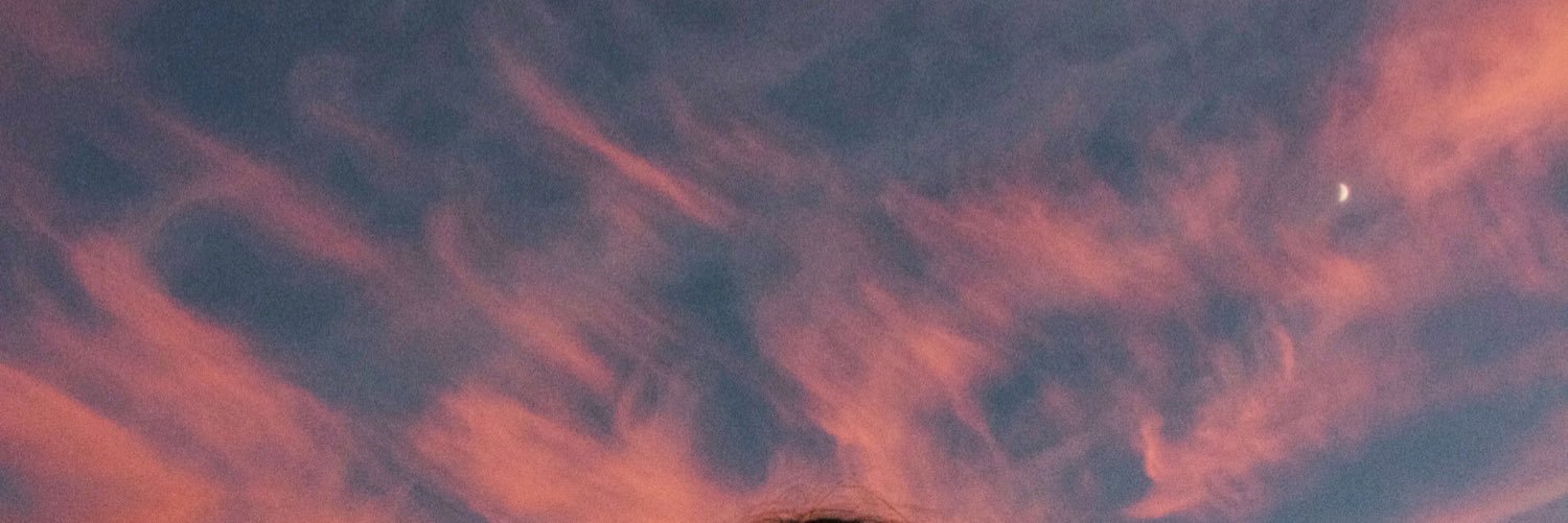 samtatro's profile banner image