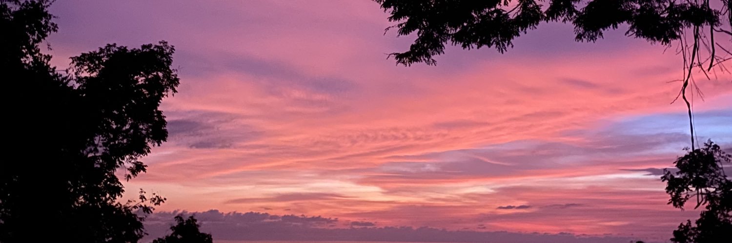 giselavalenzo's profile banner image